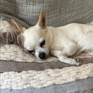 Meet your Posher, Maya